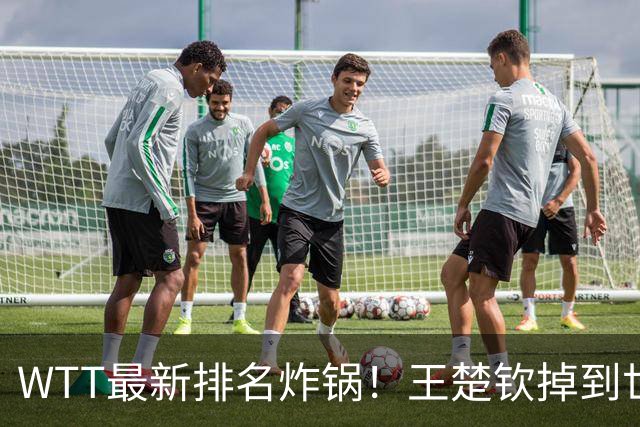 WTT最新排名炸锅！王楚钦掉到世界第五就慌了？樊振东巴黎世界第四，照样二号种子拿冠军，真正的危机藏在这儿